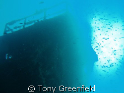 Trawler on Hembadhu reef by Tony Greenfield 